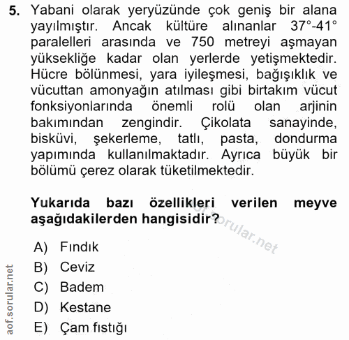 5. soru: Yabani olarak yeryüzünde çok geniş bir alana yayılmıştır. Ancak kültüre alınanlar 37°-41° paralelleri arasında ve 750…