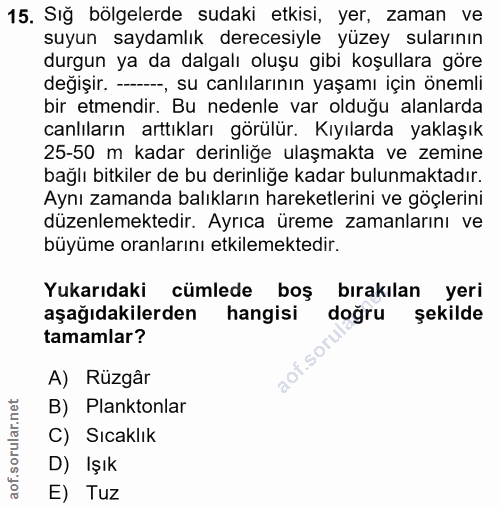 15. soru: Sığ bölgelerde sudaki etkisi, yer, zaman ve suyun saydamlık derecesiyle yüzey sularının durgun ya da dalgalı oluşu gi…
