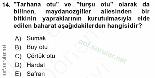 14. soru: "Tarhana otu" ve "turșu otu" olarak da bilinen, maydanozgiller ailesinden bir bitkinin yapraklarının kurutulmasıyla e…