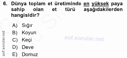 6. soru: Dünya toplam et üretiminde en yüksek paya sahip olan et türü aşağıdakilerden hangisidir? A) Sığır B) Koyun C) Keçi D)…
