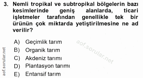 3. soru: Nemli tropikal ve subtropikal bölgelerin bazı kesimlerinde geniş alanlarda, ticari işletmeler tarafından genellikle t…
