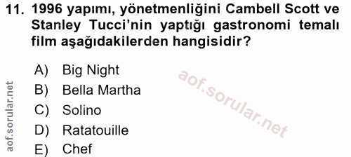 11. soru: 1996 yapımı, yönetmenliğini Cambell Scott ve Stanley Tucci'nin yaptığı astronomi temalı film aşağıdakilerden hangisid…