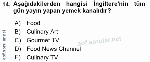 14. soru: Aşağıdakilerden hangisi İngiltere'nin tüm gün yayın yapan yemek kanalıdır? A) Food B) Culinary Art C) Gourmet TV D) F…