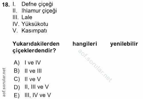 18. soru: 1. Defne çiçeği II. Ihlamur çiçeği IlI. Lale IV. Yüksükotu V. Kasımpatı Yukarıdakilerden hangileri yenilebilir çiçekl…