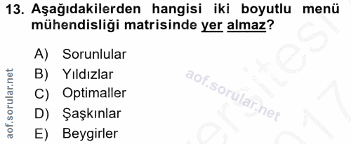 13. soru: Aşağıdakilerden hangisi iki boyutlu menü mühendisliği matrisinde yer almaz? A) Sorunlular B) Yıldızlar C) Optimaller…