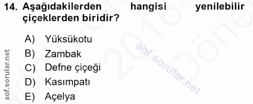 14. soru: Aşağıdakilerden hangisi yenilebilir çiçeklerden biridir? A) Yuksukotu B) Zambak C) Defne çiçeği aof.sorutar.net D) Ka…