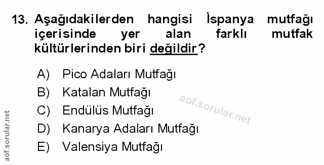 13. soru: Aşağıdakilerden hangisi Ispanya mutfağı içerisinde yer alan farklı mutfak kültürlerinden biri değildir? A) Pico Adala…