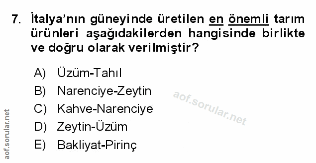 7. soru: İtalya'nın güneyinde üretilen en önemli tarım ürünleri aşağıdakilerden hangisinde birlikte ve doğru olarak verilmişti…