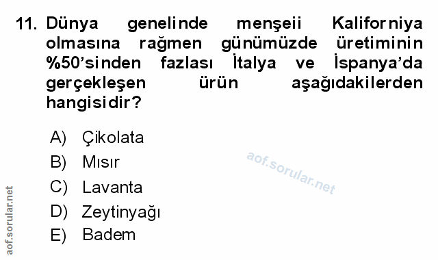 11. soru: Dünya genelinde mensell Kalifor niya olmasına rağmen günümüzde üretiminin %50'sinden fazlası italya ve Ispanya'da ger…