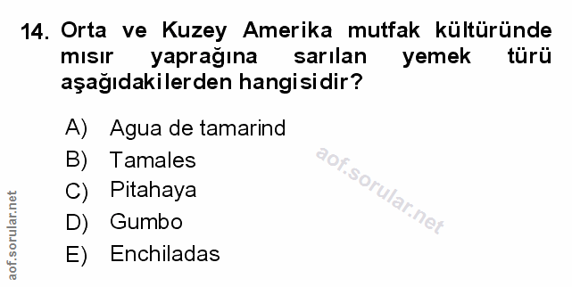 14. soru: Orta ve Kuzey Amerika mutfak kültüründe misir yaprağına sarılan yemek türü aşağıdakilerden hangisidir? A) Agua de tam…