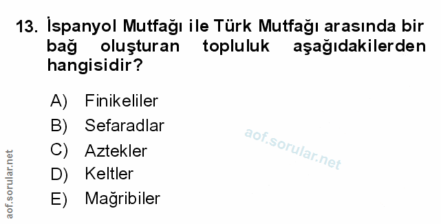 13. soru: İspanyol Mutfağı ile Türk Mutfağı arasında bir bağ oluşturan topluluk aşağıdakilerden hangisidir? A) Finikeliler B) S…