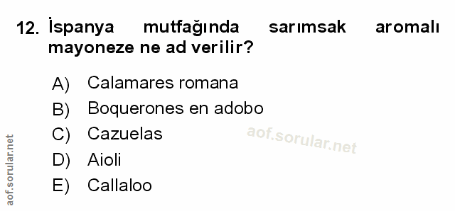12. soru: İspanya mutfağında sarımsak aromalı mayoneze ne ad verilir? A) Calamares romana B) Boquerones en adobo C) Cazuelas D)…