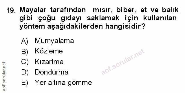 19. soru: Mayalar tarafından mısır, biber, et ve balık gibi çoğu gıdayı saklamak için kullanılan yöntem aşağıdakilerden hangisi…