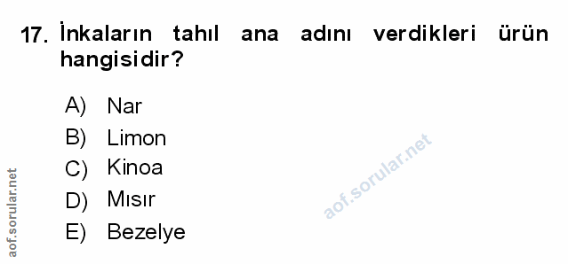 17. soru: Inkaların tahıl ana adını verdikleri ürün hangisidir? A) Nar B) Limon C) Kinoa D) Misir E) Bezelye