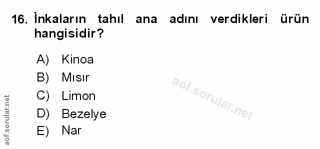 16. soru: Inkaların tahıl ana adını verdikleri ürün hangisidir? A) Kinoa B) Mısır C) Limon D) Bezelye E) Nar