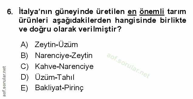 6. soru: İtalya'nın güneyinde üretilen en önemli tarım ürünleri aşağıdakilerden hangisinde birlikte ve doğru olarak verilmişti…