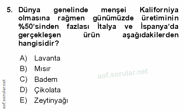 5. soru: Dünya genelinde menşei Kaliforniya olmasına ragmen günümüzde üretiminin %50'sinden fazlası italya ve ispanya'da gerçe…