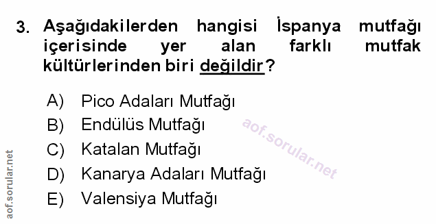 3. soru: Aşağıdakilerden hangisi İspanya mutfağı içerisinde yer alan farklı mutfak kültürlerinden biri değildir? A) Pico Adala…