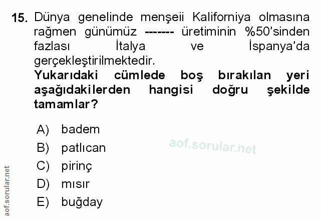 15. soru: Dünya genelinde menșeii Kaliforniya olmasına rağmen günümüz -- üretiminin %50'sinden fazlası İtalya ve Ispanya'da ger…