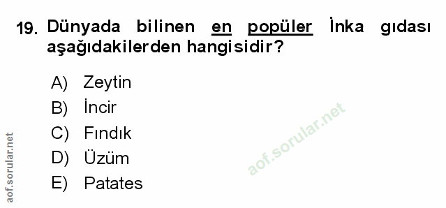 19. soru: Dünyada bilinen en popüler Inka gıdası aşağıdakilerden hangisidir? A) Zeytin B) Incir C) Fındık D) Üzüm E) Patates