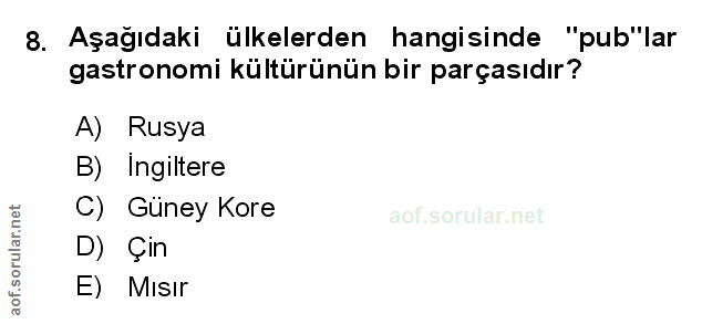 8. soru: Aşağıdaki ülkelerden hangisinde "pub"lar gastronomi kültürünün bir parçasıdır? A) Rusya B) Ingiltere C) Güney Kore D)…