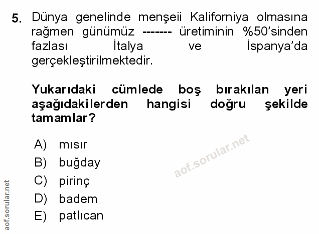 5. soru: Dünya genelinde menșeii Kaliforniya olmasına rağmen günümüz =- üretiminin %50'sinden fazlası Italya ve İspanya'da ger…