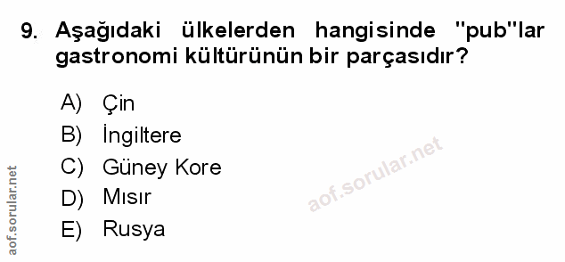9. soru: Aşağıdaki ülkelerden hangisinde "pub"lar gastronomi kültürünün bir parçasıdır? A) Çin B) Ingiltere C) Güney Kore D) M…