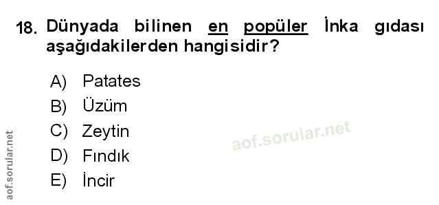18. soru: Dünyada bilinen en popüler Inka gıdası aşağıdakilerden hangisidir? A) Patates B) Uzüm C) Zeytin D) Fındık E) Incir