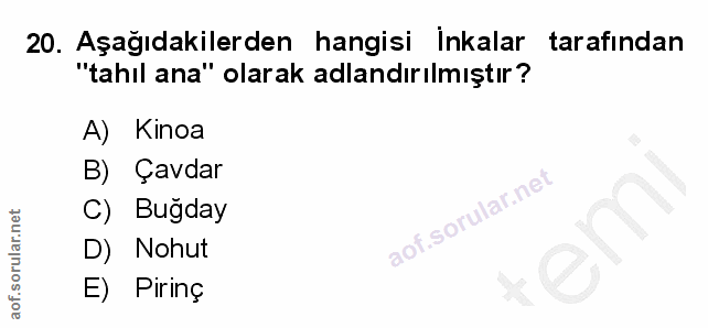 20. soru: Aşağıdakilerden hangisi Inkalar tarafından "tahıl ana" olarak adlandırılmıştır? A) Kinoa B) Çavdar C) Bugday D) Nohut…