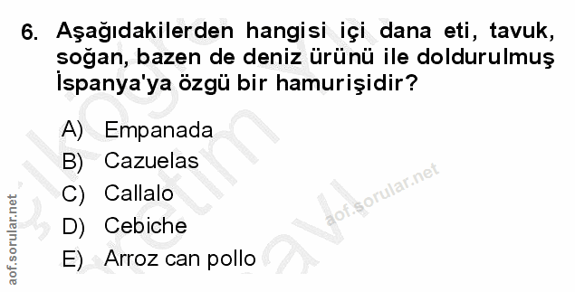 6. soru: Aşağıdakilerden hangisi içi dana eti, tavuk, soğan, bazen de deniz ürünü ile doldurulmuş Ispanya'ya özgü bir hamurişi…