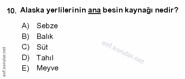 10. soru: Alaska yerlilerinin ana besin kaynağı nedir? A) Sebze B) Balık C) Süt D) Tahıl E) Meyve