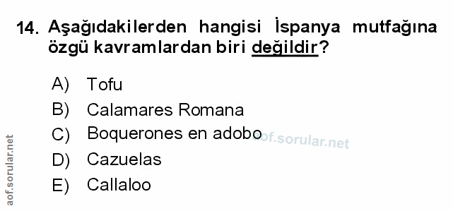 14. soru: Aşağıdakilerden hangisi Ispanya mutfağına özgü kavramlardan biri değildir? A) Tofu B) Calamares Romana C) Boquerones…