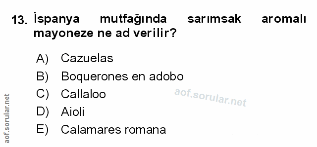 13. soru: İspanya mutfağında sarımsak aromalı mayoneze ne ad verilir? A) Cazuelas B) Boquerones en adobo C) Callaloo D) Aioli E…
