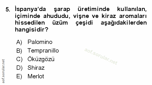 5. soru: Ispanya'da şarap üretiminde kullanılan, içiminde ahududu, vişne ve kiraz aromaları hissedilen üzüm çeşidim aşağıdakil…