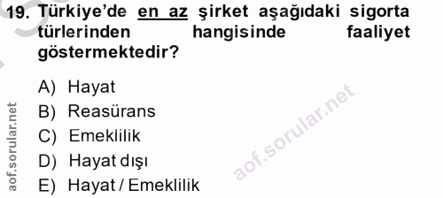 19. soru: Türkiye'de en az şirket aşağıdaki sigorta türlerinden hangisinde faaliyet göstermektedir? A) Hayat B) Reasürans C) Em…