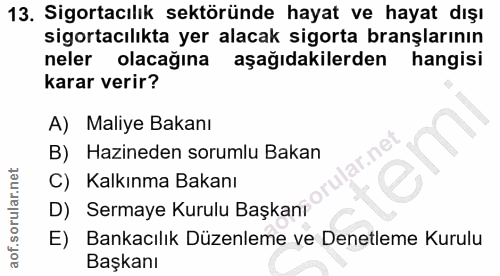 13. soru: Sigortacılık sektöründe hayat ve hayat dışı sigortacılıkta yer alacak sigorta branşlarının neler olacağına aşağıdakil…