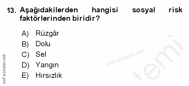 13. soru: Aşağıdakilerden hangisi sosyal risk faktörlerinden biridir? A) Rüzgâr B) Dolu C) Sel em D) Yangın E) Hırsızlık