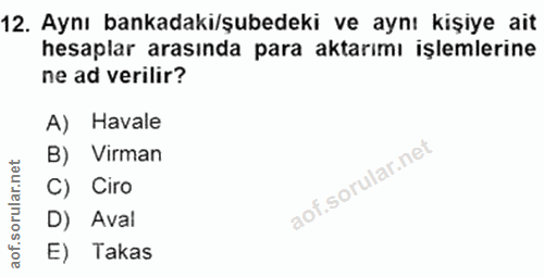 12. soru: Aynı bankadaki/şubedeki ve aynı kişiye ait hesaplar arasında para aktarımı işlemlerine ne ad verilir? A) Havale B) Vi…