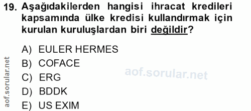 19. soru: Aşağıdakilerden hangisi ihracat kredileri kapsamında ülke kredisi kullandırmak için kurulan kuruluşlardan biri değild…
