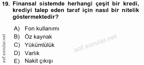 19. soru: Finansal sistemde herhangi çeşit bir kredi, krediyi talep eden taraf için nasıl bir nitelik göstermektedir? A) Fon ku…