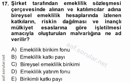 17. soru: Şirket tarafından emeklilik sözleşmesi çerçevesinde alınan ve katılımcılar adına bireysel emeklilik hesaplarında izle…