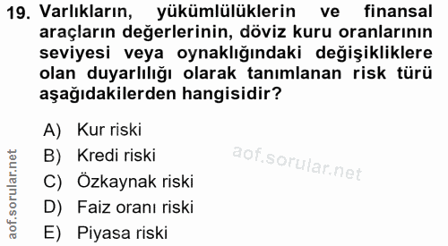 19. soru: Varlıkların, yükümlülüklerin ve finansal araçların değerlerinin, döviz kuru oranlarının seviyesi veya oynaklığındaki…