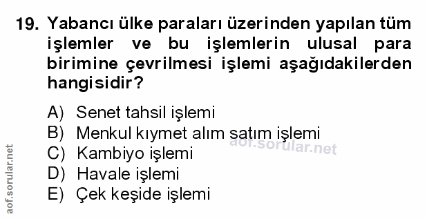 19. soru: Yabancı ülke paraları üzerinden yapılan tüm işlemler ve bu işlemlerin ulusal para birimine çevrilmesi işlemi aşağıdak…