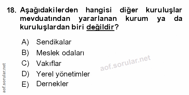 18. soru: Aşağıdakilerden hangisi diğer kuruluşlar mevduatından yararlanan kurum ya da kuruluşlardan biri değildir? A) Sendikal…
