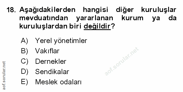 18. soru: Aşağıdakilerden hangisi diğer kuruluşlar mevduatından yararlanan kurum ya da kuruluşlardan biri değildir? A) Yerel yö…