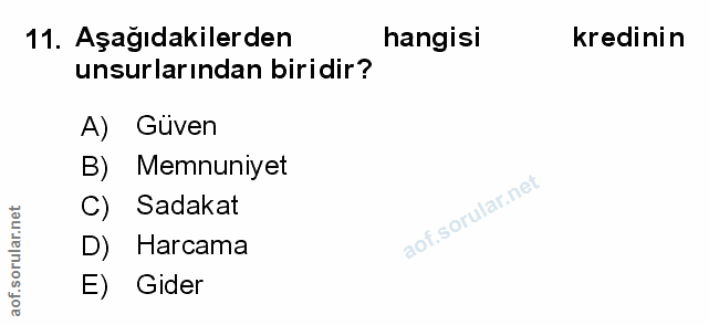 11. soru: Aşağıdakilerden hangisi kredinin unsurlarından biridir? A) Güven B) Memnuniyet Sadakat D) Harcama E) Gider