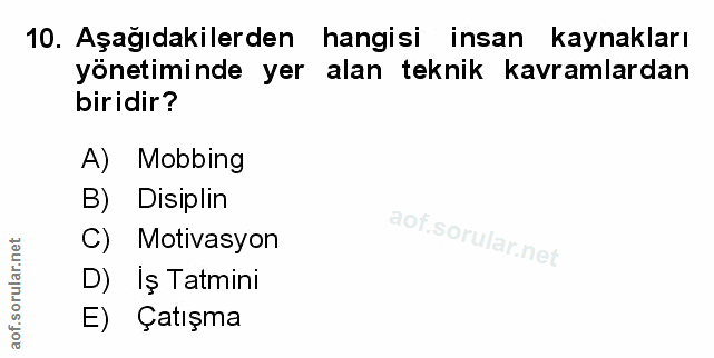 10. soru: Aşağıdakilerden hangisi insan kaynakları yönetiminde yer alan teknik kavramlardan biridir? A) Mobbing B) Disiplin C)…