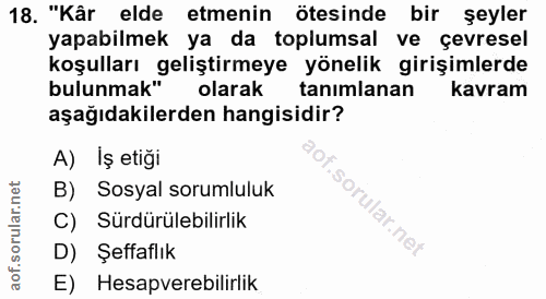 18. soru: "Kår elde etmenin ötesinde bir şeyler yapabilmek ya da toplumsal ve çevresel koşulları geliştirmeye yönelik girişimle…