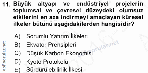 11. soru: Büyük altyapı ve endüstriyel projelerin toplumsal ve çevresel düzeydeki olumsuz etkilerini en aza indirmeyi amaçlayan…