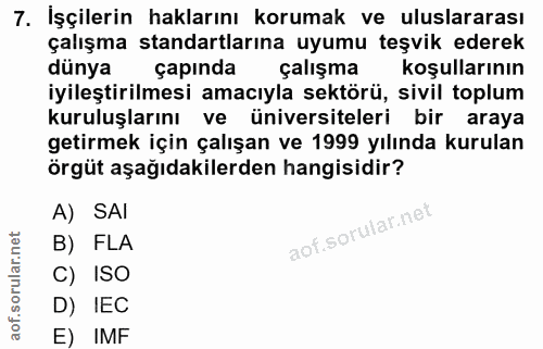 7. soru: Işçilerin haklarını korumak ve uluslararası çalışma standartlarına uyumu teşvik ederek dünya çapında çalışma koşullar…